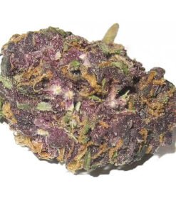 GRANDDADDY PURPLE