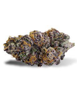 PURPLE PUNCH