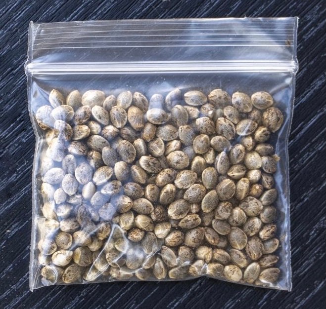 image-25-04-22-05-22